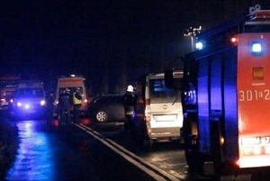 /pliki/zdjecia/jed1 300.jpg